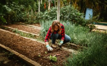kezdő kert tavasszal