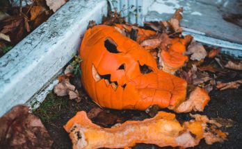 tönkrement halloween töklámpás