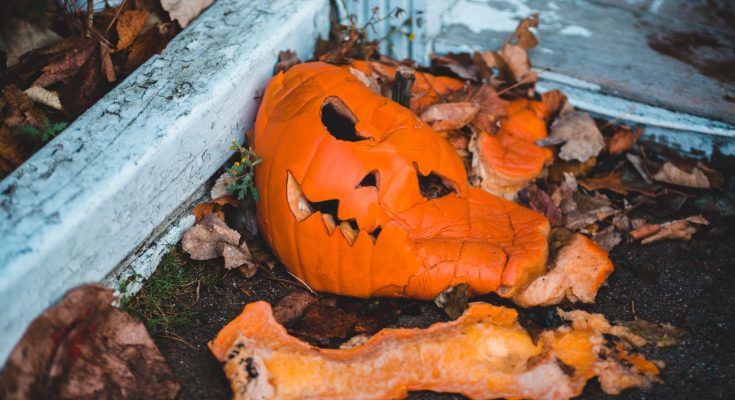 tönkrement halloween töklámpás